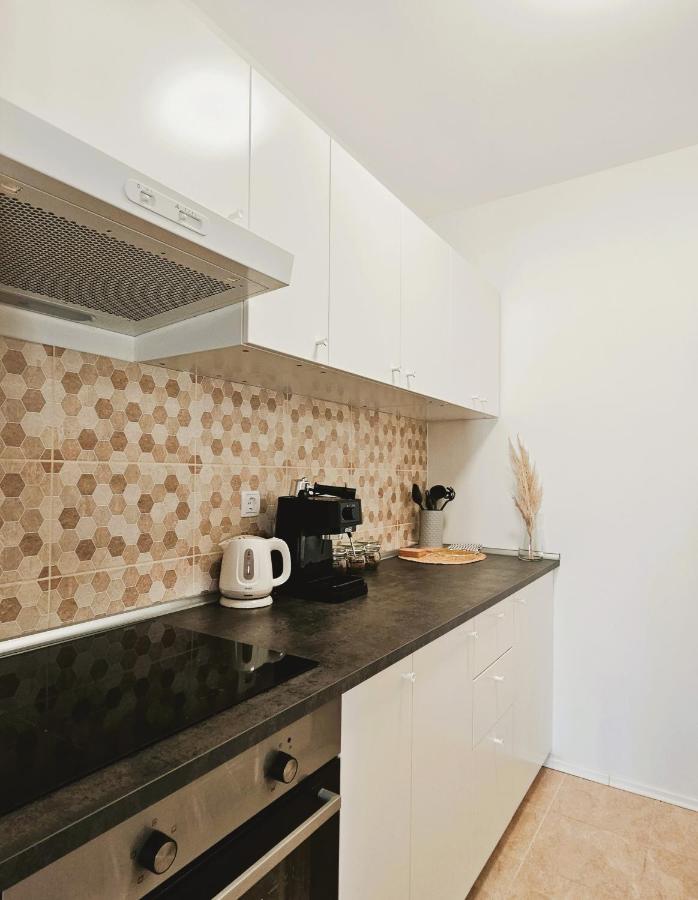 Central Park Apartments โคปริฟนิซา ภายนอก รูปภาพ